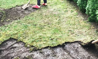 Снятие дерна старого газона в Железногорске – от 520 руб. | 2Землекопа-Жлк